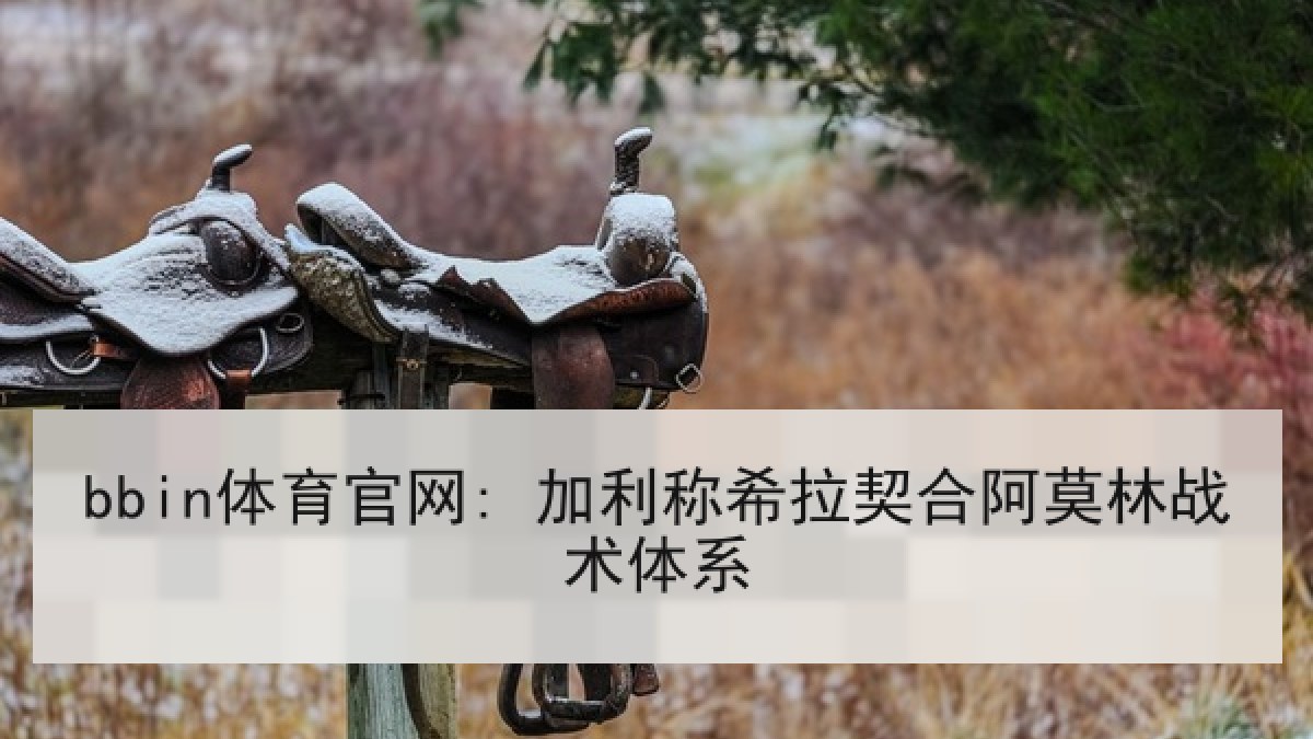bbin体育官网: 加利称希拉契合阿莫林战术体系